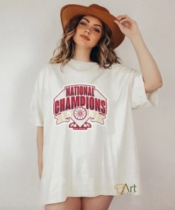 Fanatics Branded Gray Oklahoma Sooners 2023 Ncaa Softball Women's College World Series Champions shirt