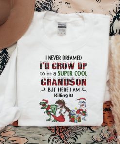I never dreamed i’d grow up to be a super cool grandson but here i am killing it shirt