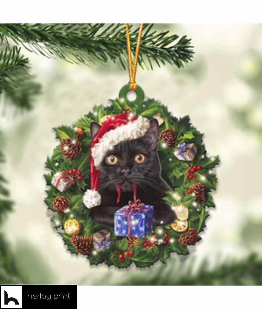 Black cat and gift merry christmas   Ornament