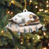 Cat Sleeping Merry Christmas 1 Ornament