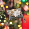 Cat sleeping merry christmas Ornament