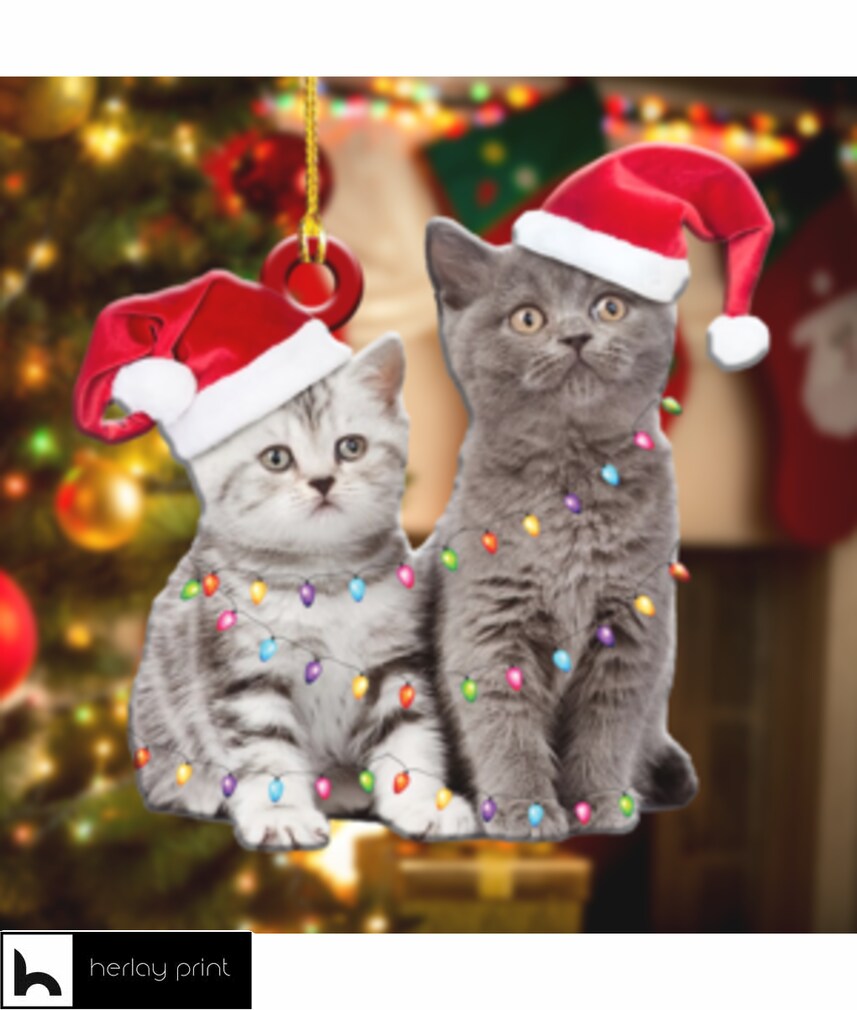 Cute Christmas Cats   Ornament