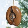 Owls amazing look at you merry christmas Ornament