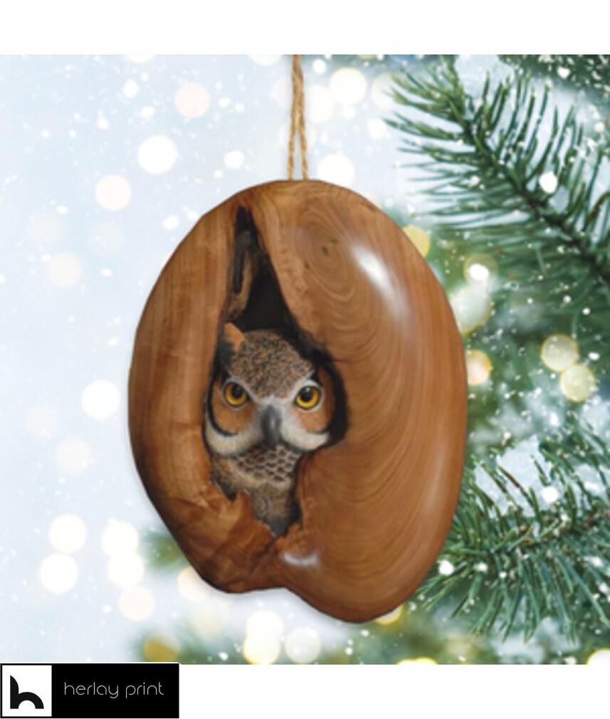 Owls amazing look at you merry christmas   Ornament
