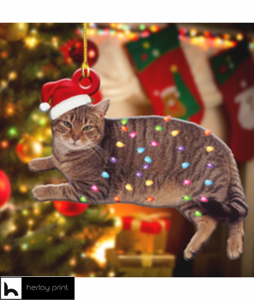Tabby Cat And Christmas Light   Ornament